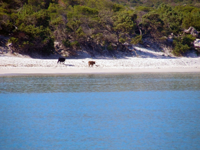  Paseo en barco 